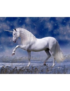 Panel bawełniany Unicorn At Night