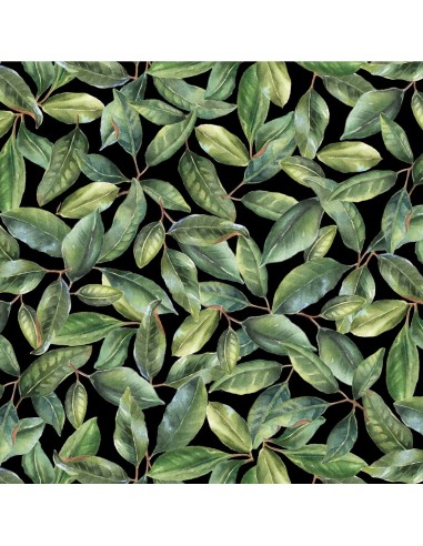Tkanina bawełniana Black/Green Leaves