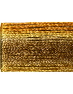 Cosmo Seasons Variegated Embroidery Floss Browns/Orange