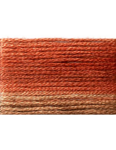 Cosmo Seasons Variegated Embroidery Floss Medium Browns/Rusts